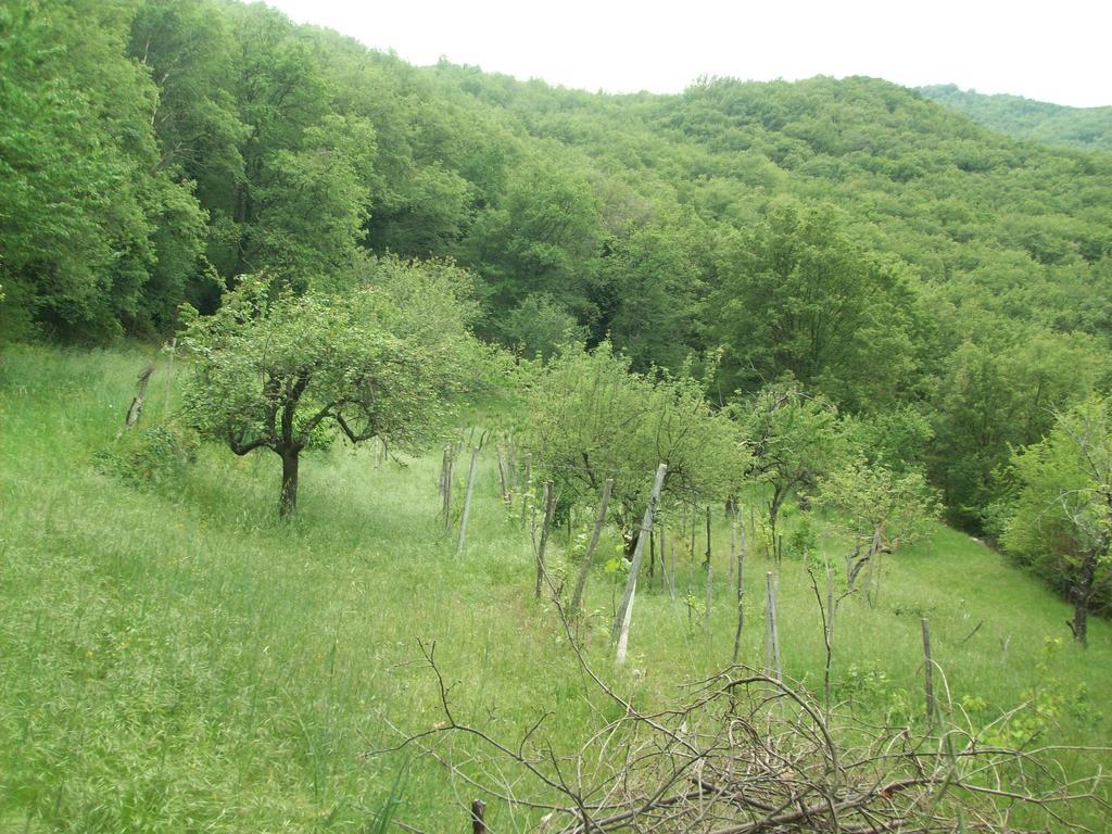 Piccolo Rifugio Nel Verde Chiusavecchia Zewnętrze zdjęcie