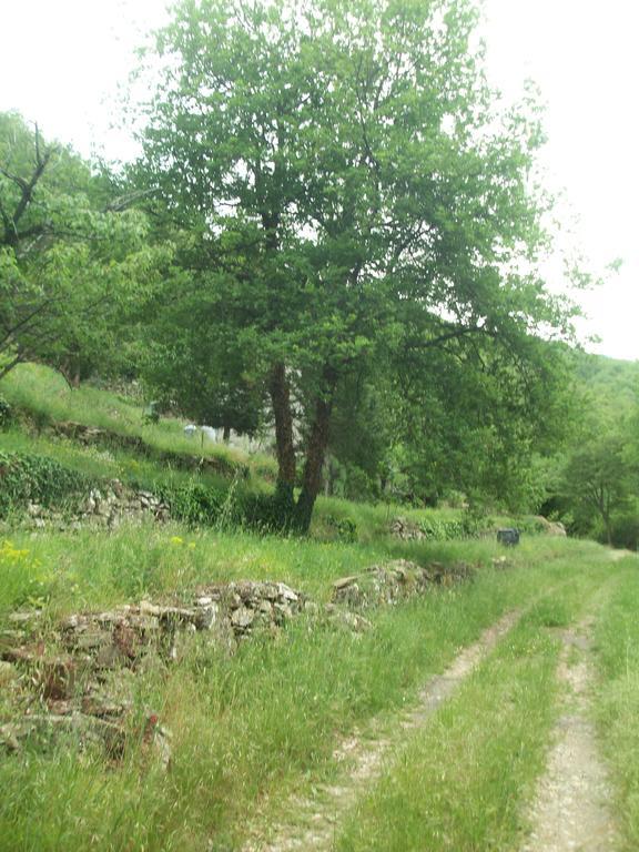 Piccolo Rifugio Nel Verde Chiusavecchia Zewnętrze zdjęcie