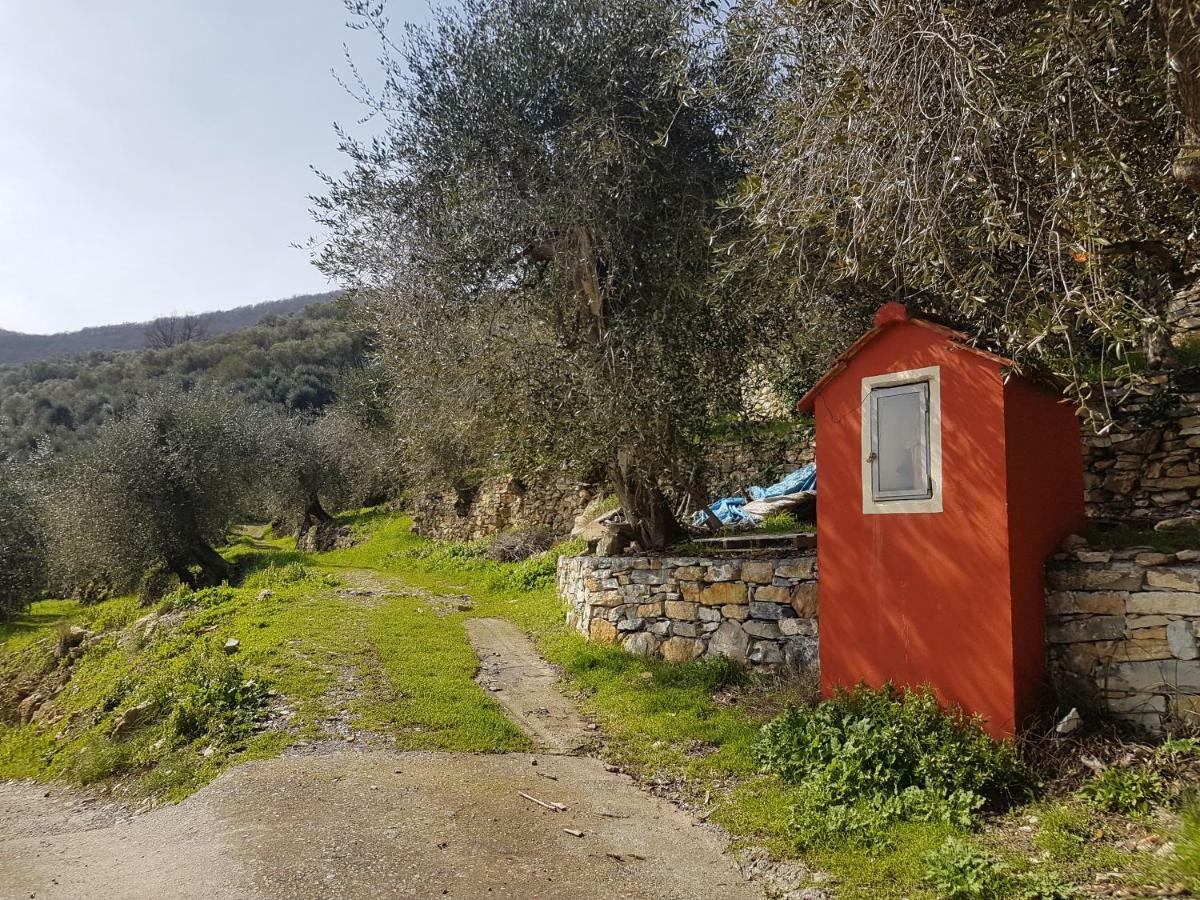 Piccolo Rifugio Nel Verde Chiusavecchia Zewnętrze zdjęcie